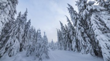 Beautiful winter mountain landscape.