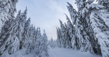 Beautiful winter mountain landscape.