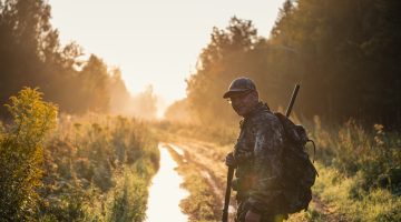 Bird Hunter at Sunrise going for hunt in a forest with his shotgun rifle